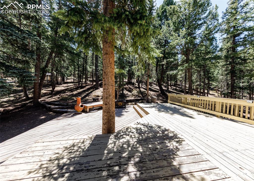 2873 Sunnywood Avenue Woodland Park CO 80863