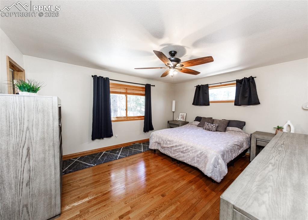 2873 Sunnywood Avenue Woodland Park CO 80863