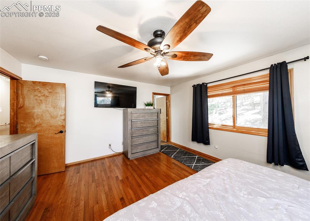 2873 Sunnywood Avenue Woodland Park CO 80863