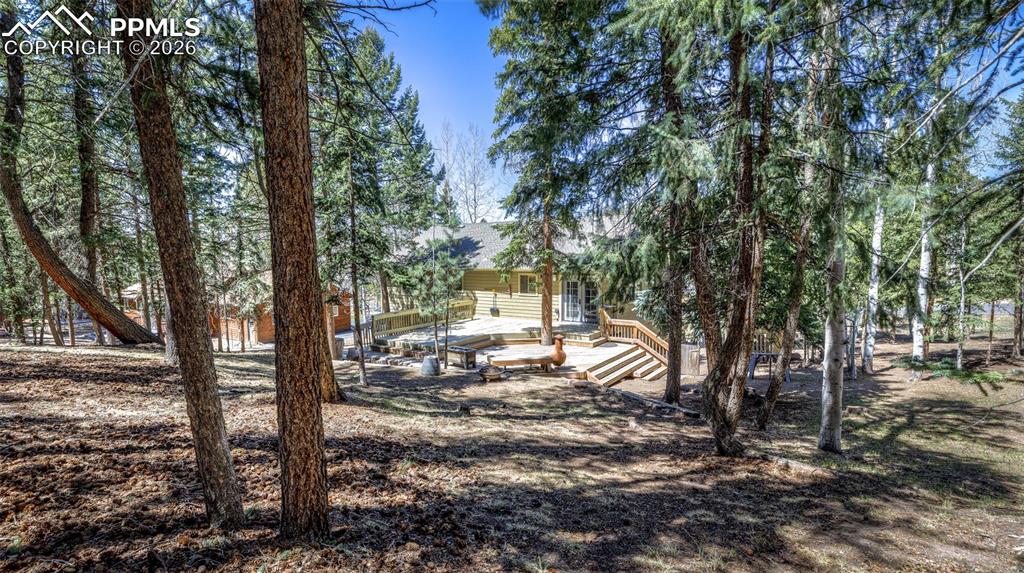 2873 Sunnywood Avenue Woodland Park CO 80863