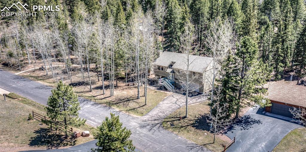 2873 Sunnywood Avenue Woodland Park CO 80863