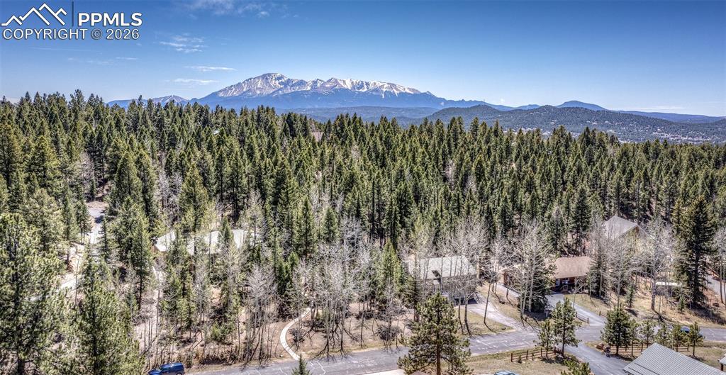 2873 Sunnywood Avenue Woodland Park CO 80863
