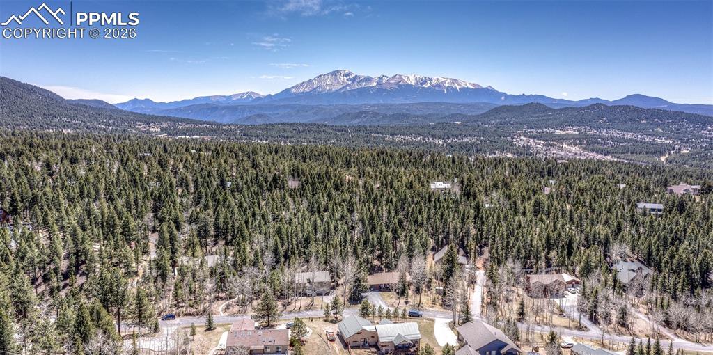 2873 Sunnywood Avenue Woodland Park CO 80863