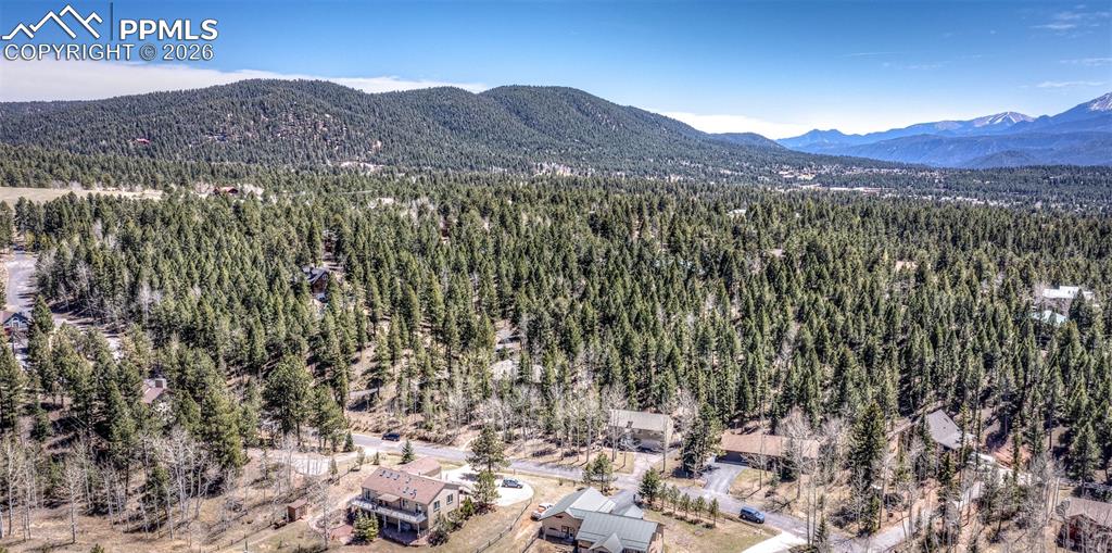 2873 Sunnywood Avenue Woodland Park CO 80863