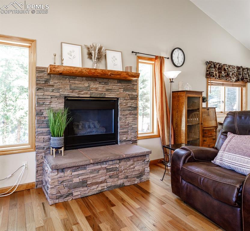 2873 Sunnywood Avenue Woodland Park CO 80863
