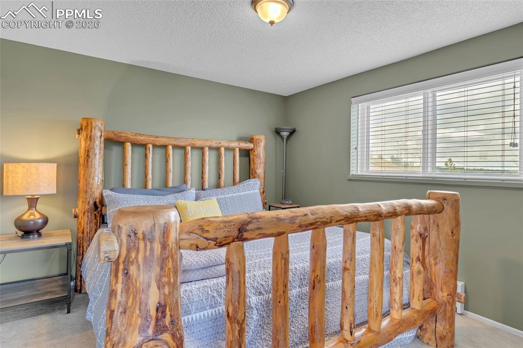 81 Hedges Circle Woodland Park CO 80863