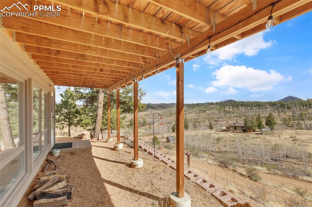 81 Hedges Circle Woodland Park CO 80863