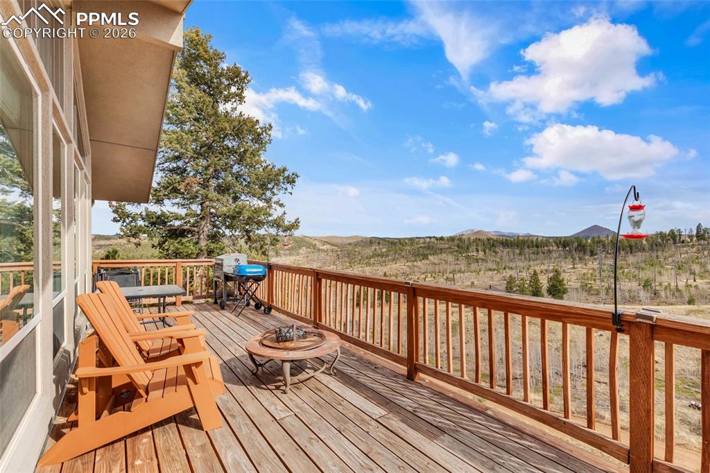 81 Hedges Circle Woodland Park CO 80863