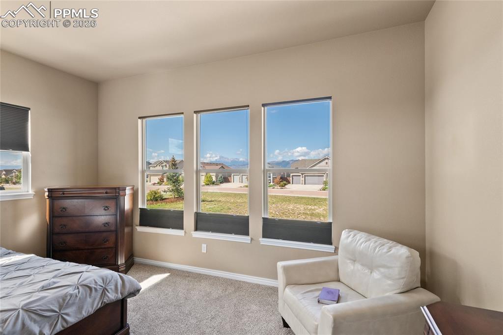3718 Sky Rim Court Colorado Springs CO 80908