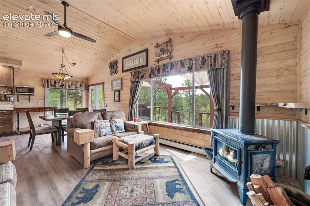 126 Aspen Circle Divide CO 80814