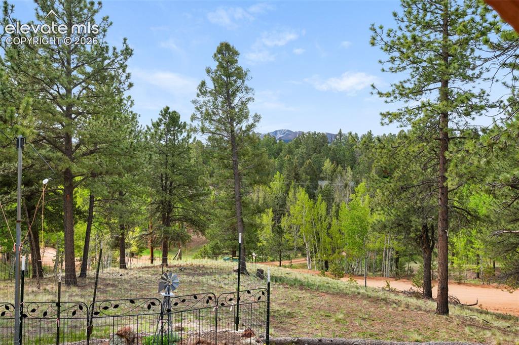 126 Aspen Circle Divide CO 80814