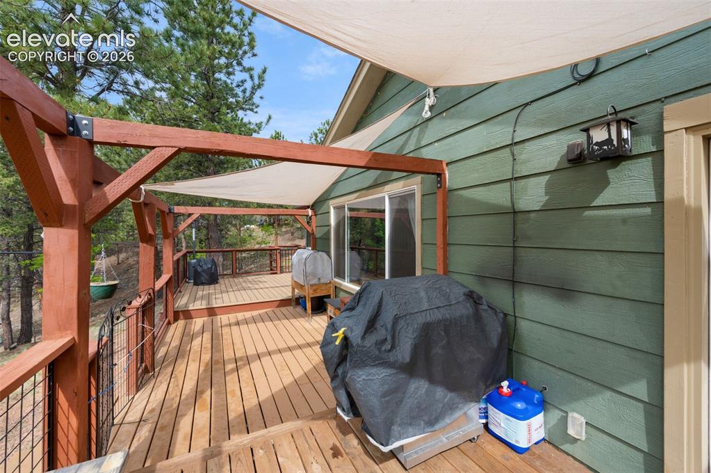 126 Aspen Circle Divide CO 80814