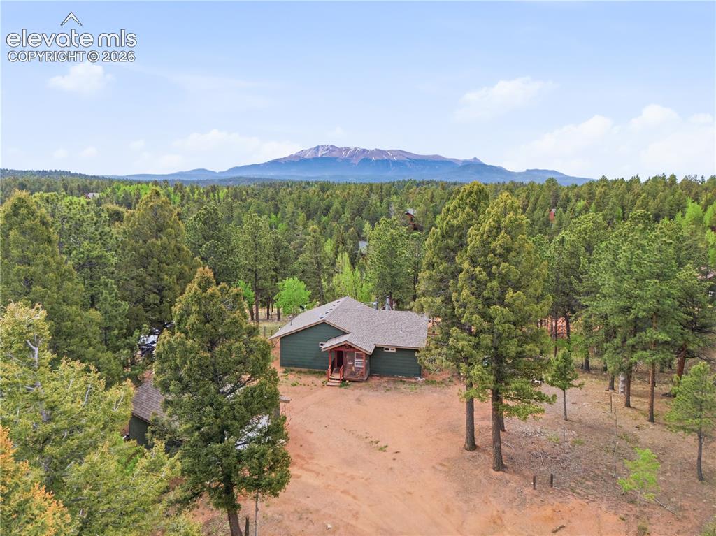 126 Aspen Circle Divide CO 80814