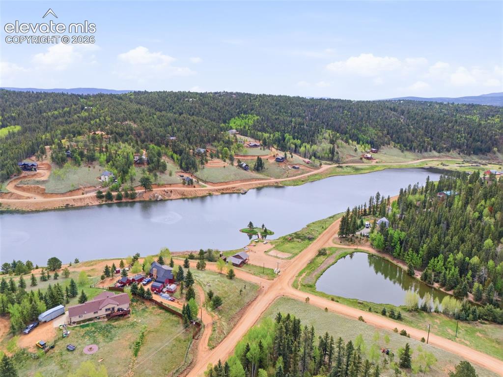 126 Aspen Circle Divide CO 80814