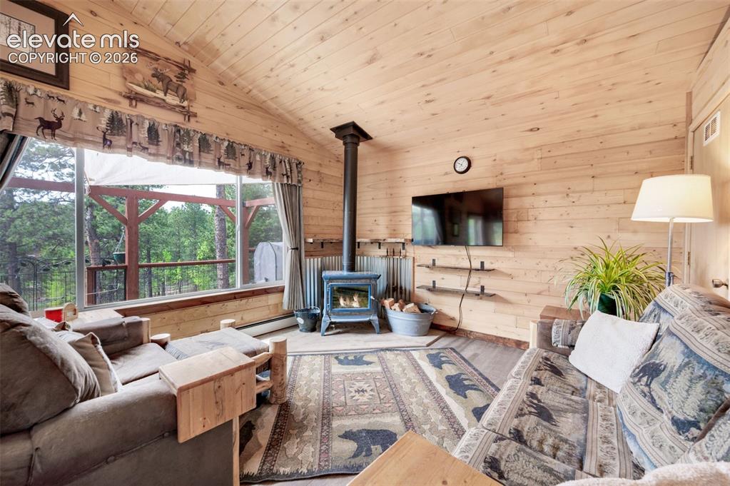126 Aspen Circle Divide CO 80814