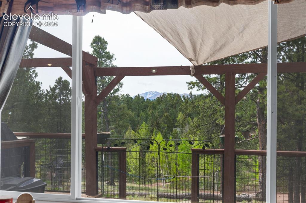 126 Aspen Circle Divide CO 80814