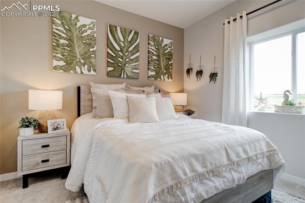 9727 Feathergrass Drive Colorado Springs CO 80927