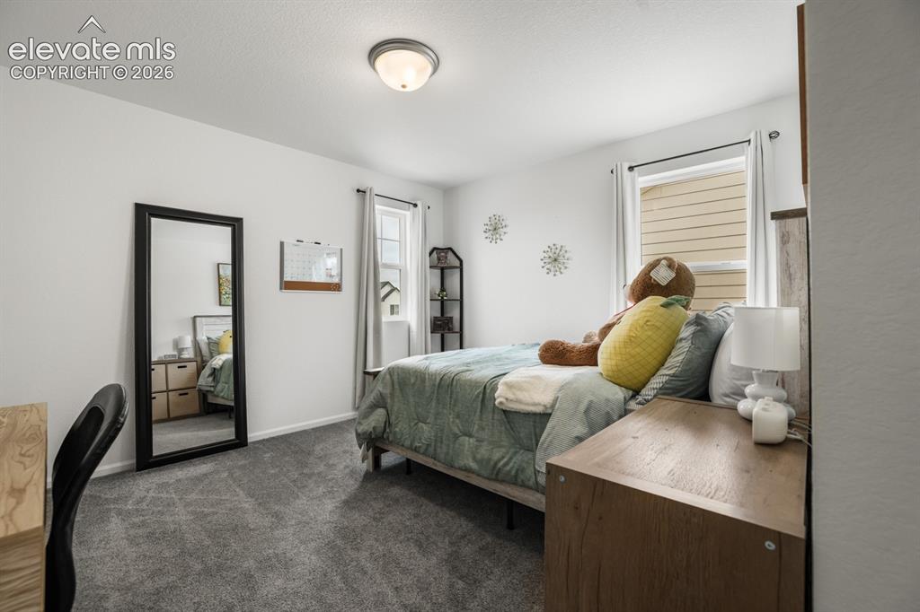 6365 Bodacious Circle Colorado Springs CO 80923