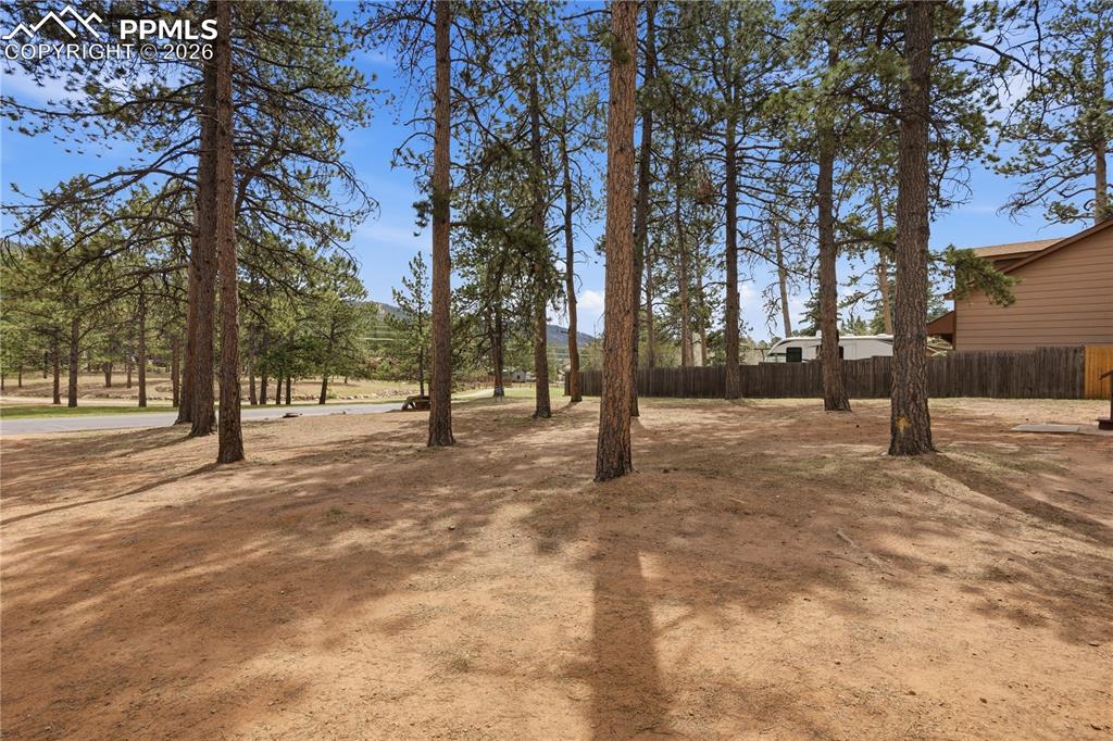 521 S Fairview Street Woodland Park CO 80863
