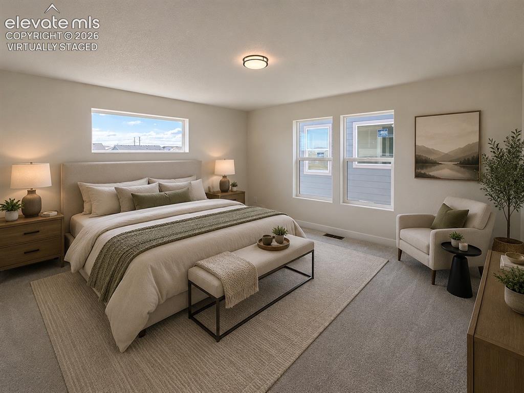 8214 Lemon Grass Road Falcon CO 80831