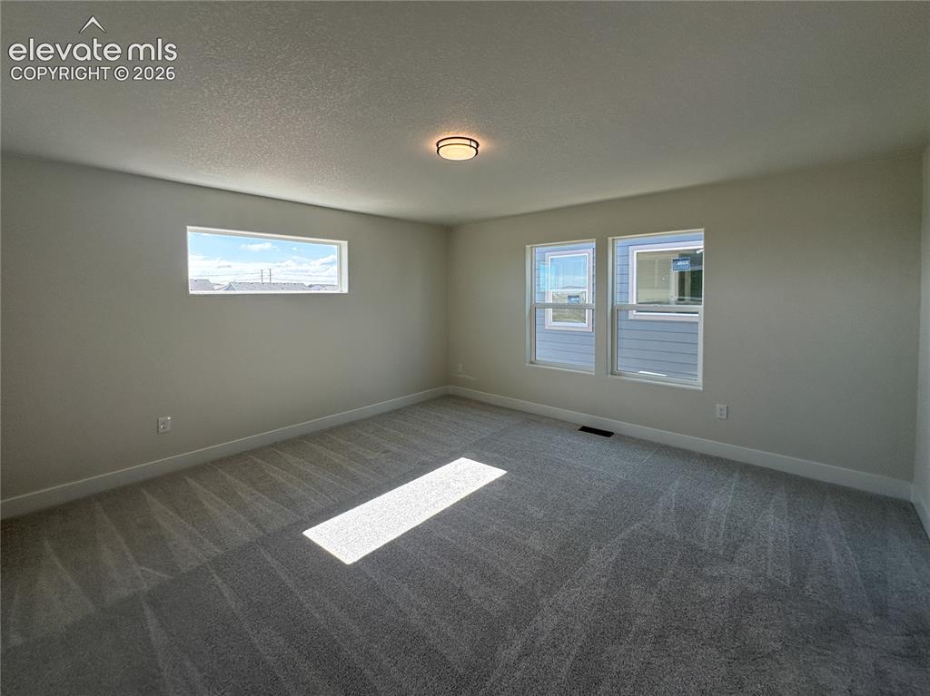 8214 Lemon Grass Road Falcon CO 80831