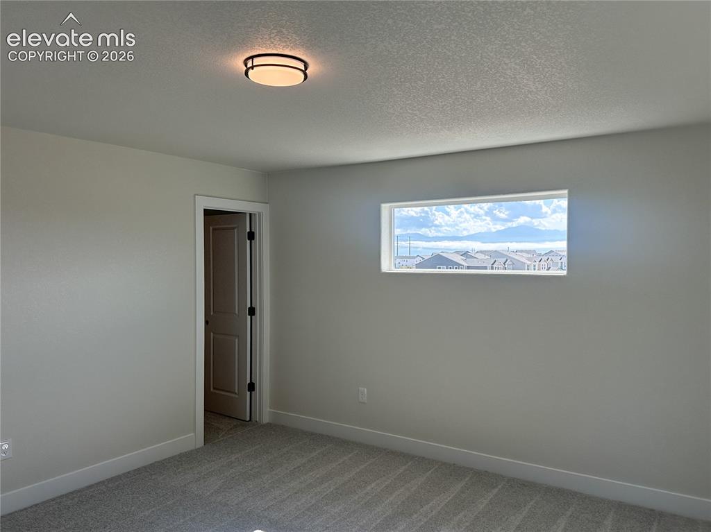8214 Lemon Grass Road Falcon CO 80831