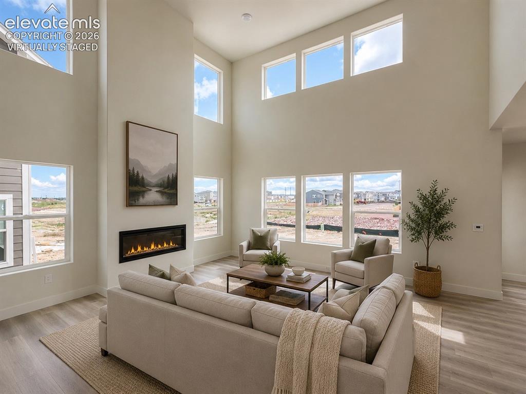 8214 Lemon Grass Road Falcon CO 80831