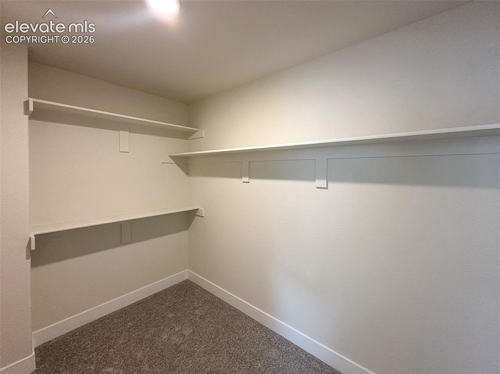8214 Lemon Grass Road Falcon CO 80831