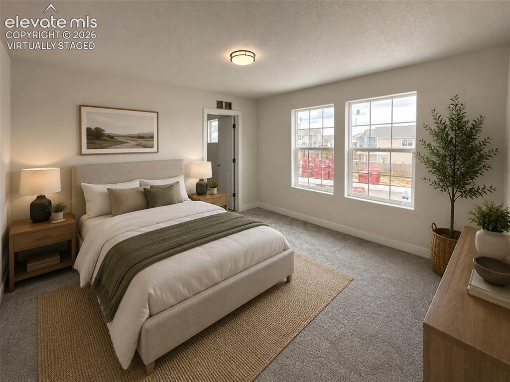 8214 Lemon Grass Road Falcon CO 80831