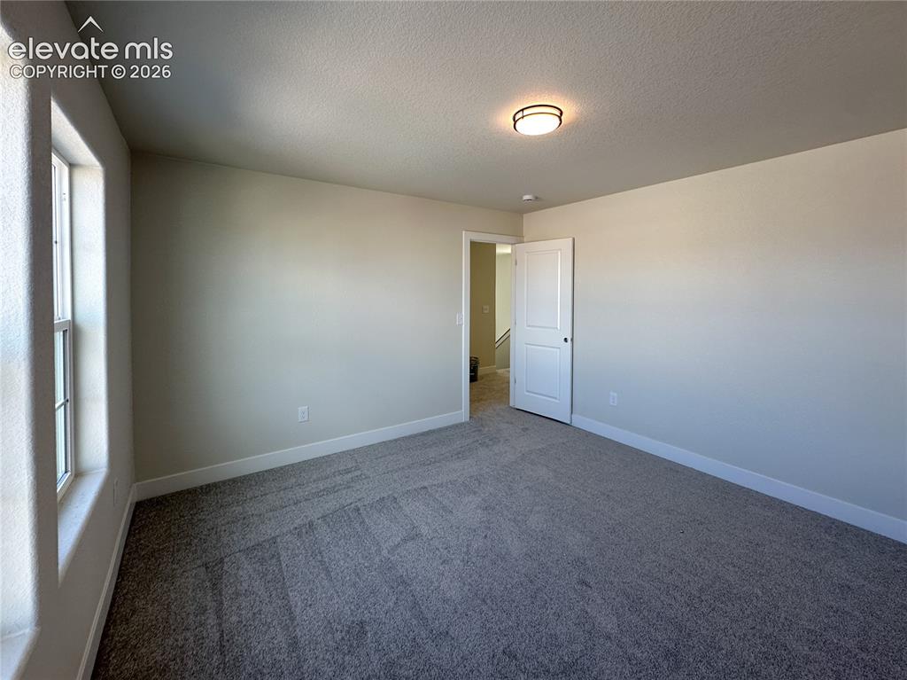 8214 Lemon Grass Road Falcon CO 80831