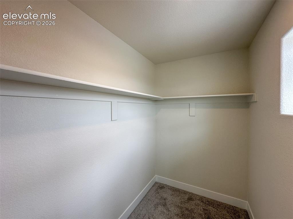8214 Lemon Grass Road Falcon CO 80831