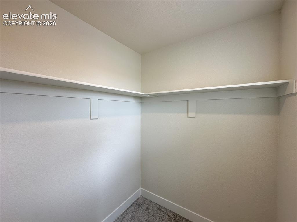 8214 Lemon Grass Road Falcon CO 80831
