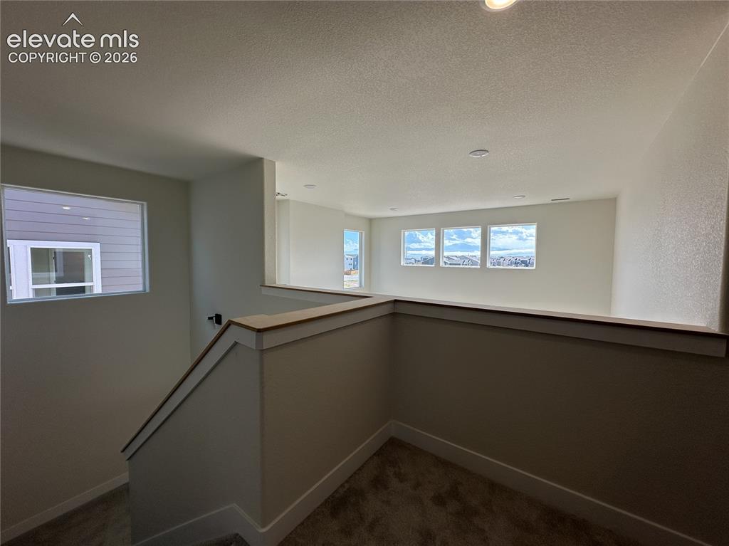 8214 Lemon Grass Road Falcon CO 80831