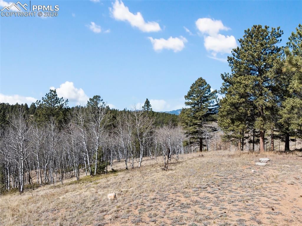4265 County Road 51 Road Divide CO 80814