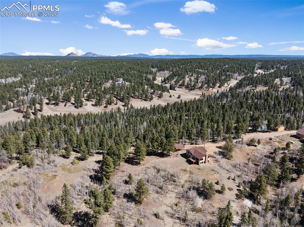 4265 County Road 51 Road Divide CO 80814