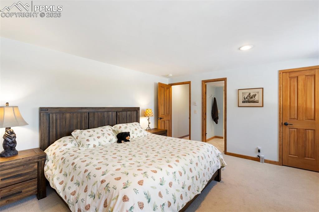 4265 County Road 51 Road Divide CO 80814