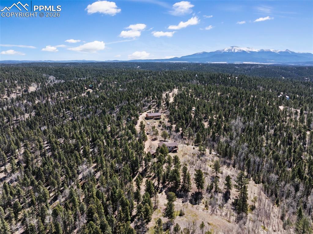 4265 County Road 51 Road Divide CO 80814