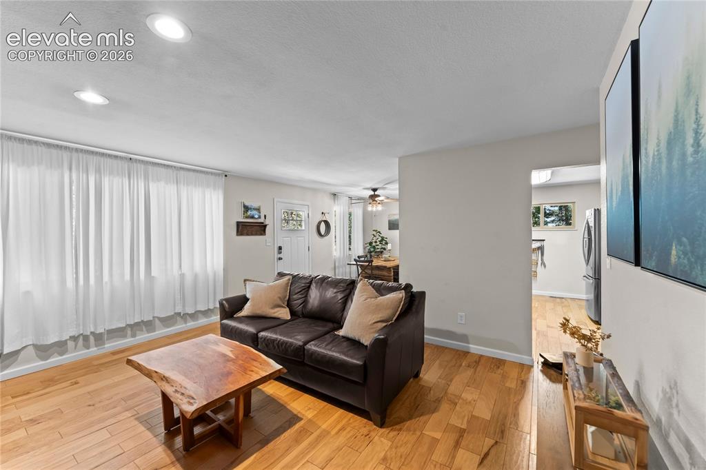 417 Coraline Street Woodland Park CO 80863