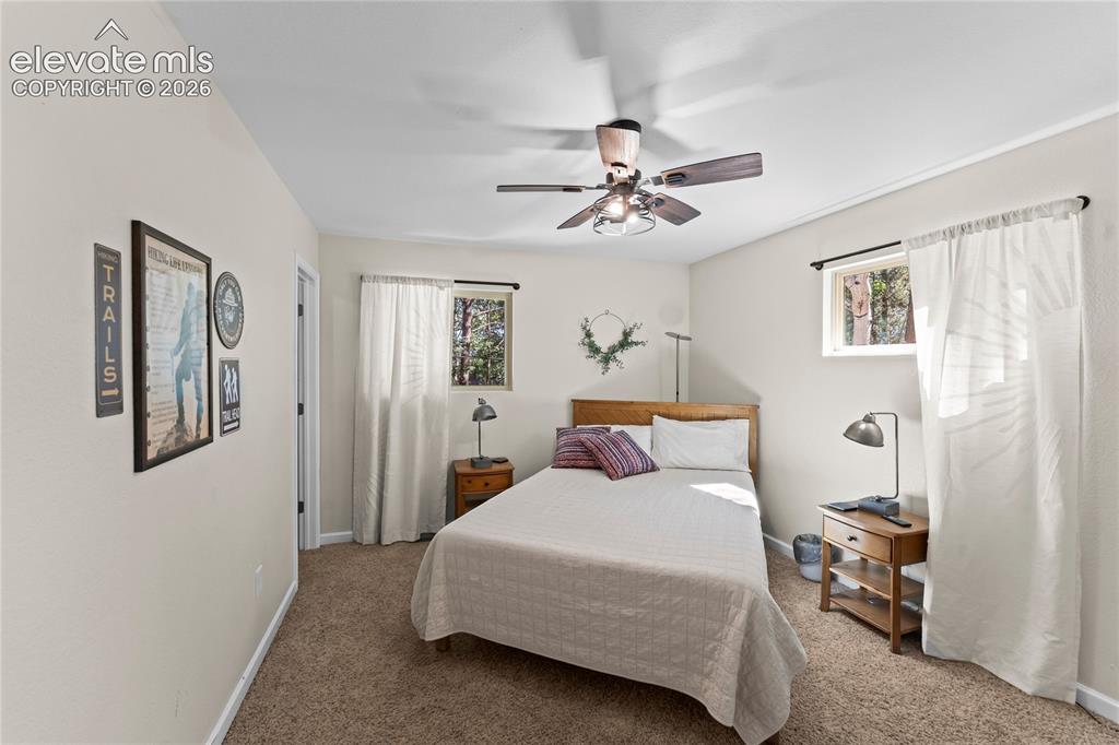 417 Coraline Street Woodland Park CO 80863