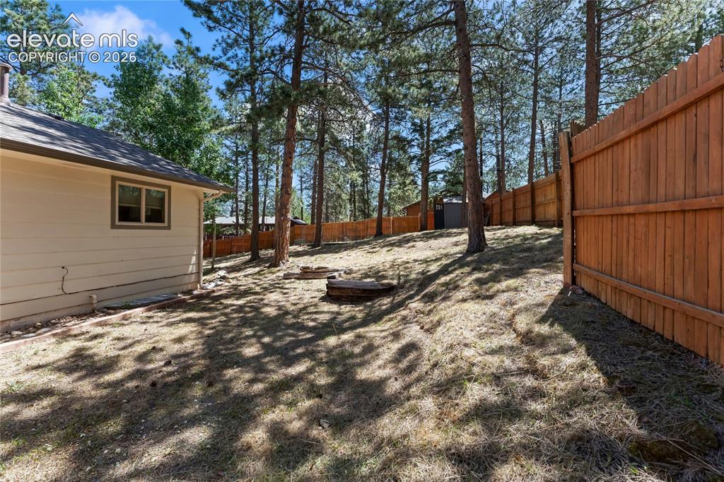 417 Coraline Street Woodland Park CO 80863