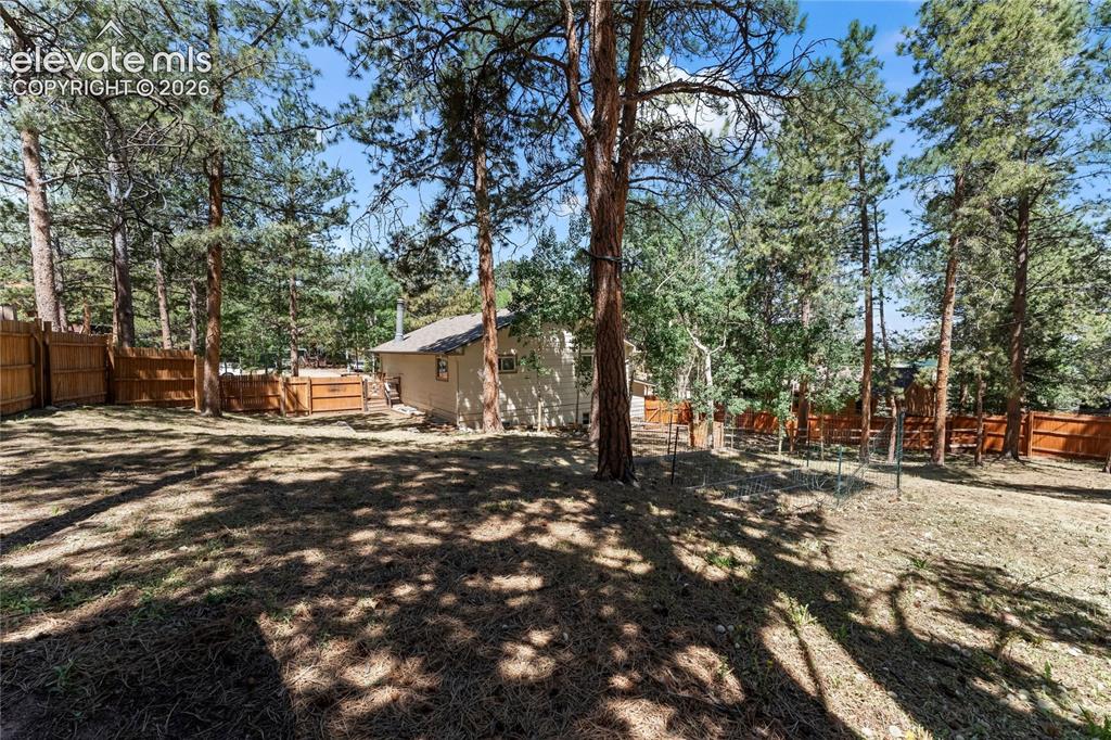 417 Coraline Street Woodland Park CO 80863