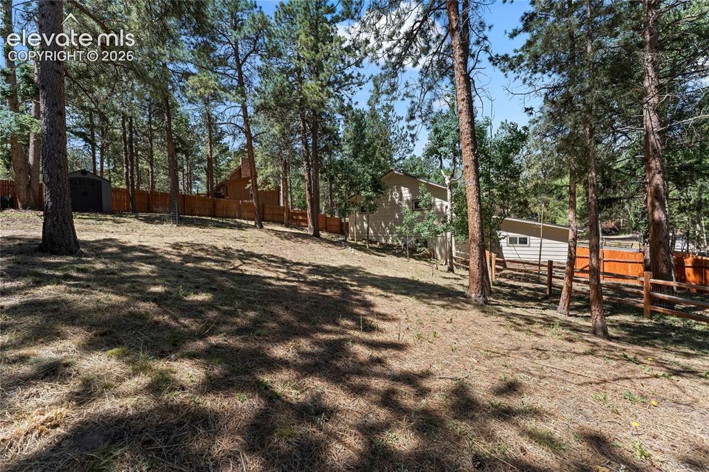 417 Coraline Street Woodland Park CO 80863