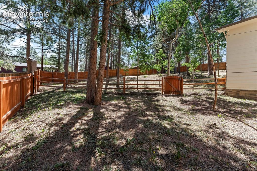417 Coraline Street Woodland Park CO 80863