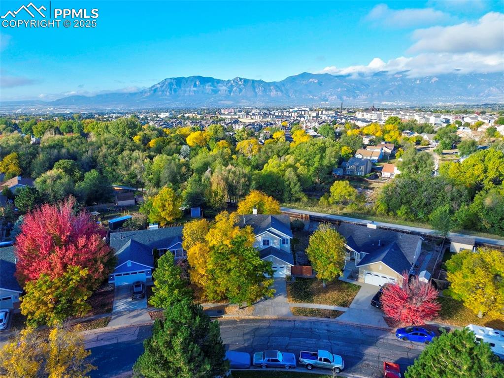 4430 Wintergreen Circle Colorado Springs CO 80916