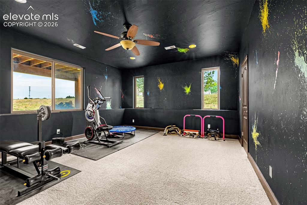 16895 Horizon Ridge Trail Colorado Springs CO 80908