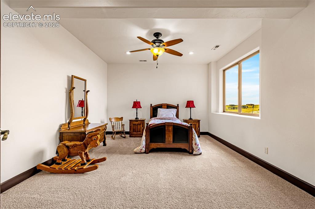16895 Horizon Ridge Trail Colorado Springs CO 80908