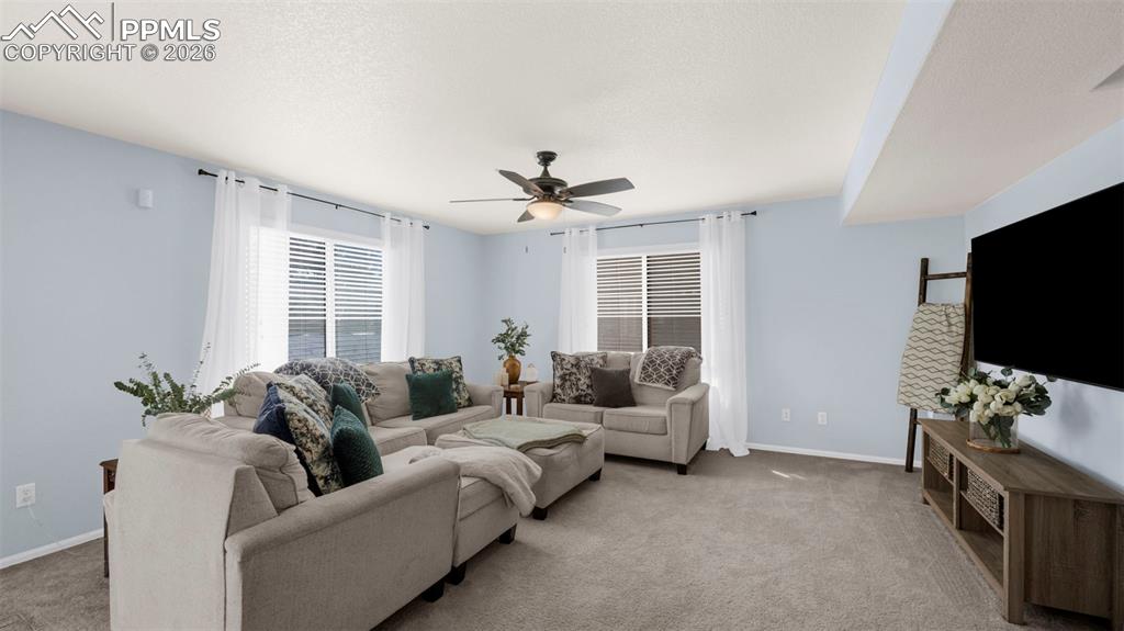 2456 Sierra Springs Drive Colorado Springs CO 80916