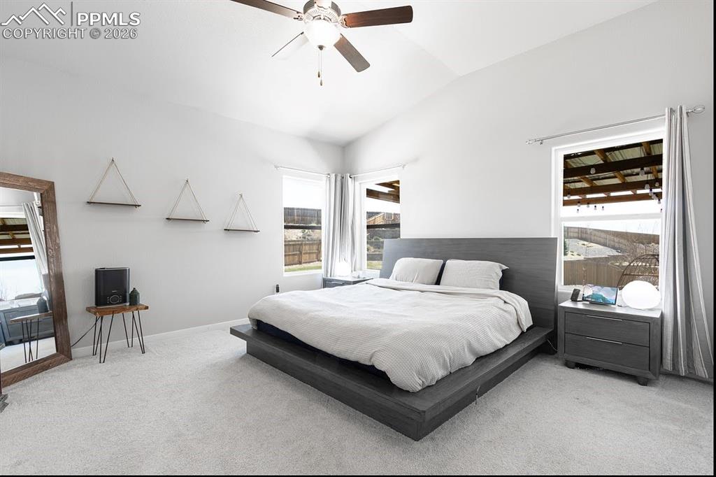 8889 Bittercress Drive Colorado Springs CO 80925