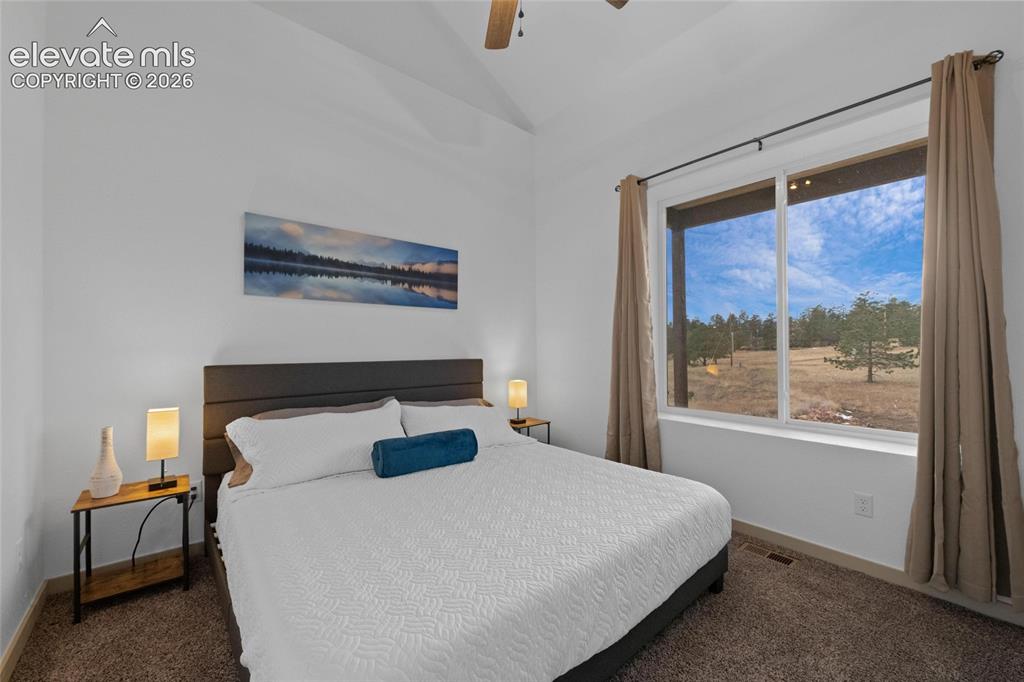 526 Irwin Drive Florissant CO 80816