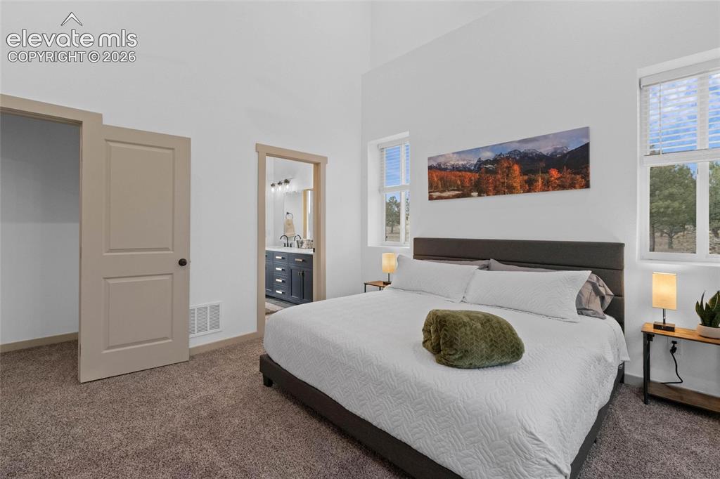 526 Irwin Drive Florissant CO 80816